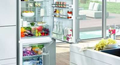 FREESTANDING BOTTOM MOUNT FRIDGE