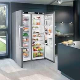 FREESTANDING SIDE BY SIDE FRIDGE