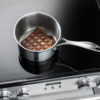 Nexus SE Induction Melting Chocolate Slow